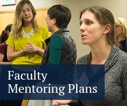 Faculty Mentoring Plans