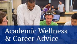 academic wellness and career advice