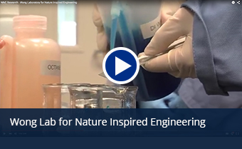 Nature Inspired Engineering Video