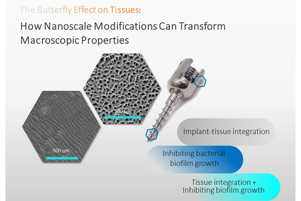 The butterfly effect on tissues: how nanoscale modifications can transform macroscopic properties