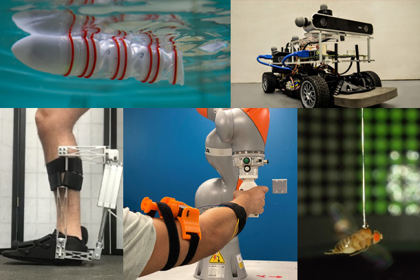 Collage of systems, controls, and robotics prototypes 