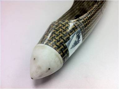 nosecone.jpg