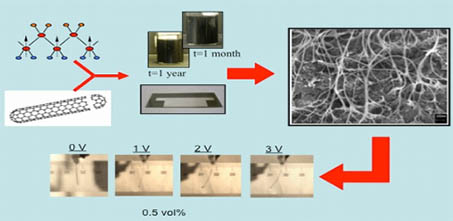 the nanocomposite route